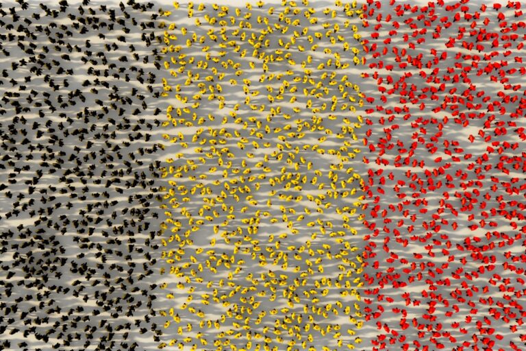 Citymesh wants to be Belgium’s fourth national mobile operator