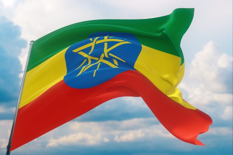 Ethiopia’s government relaunches sale of 40% stake in incumbent