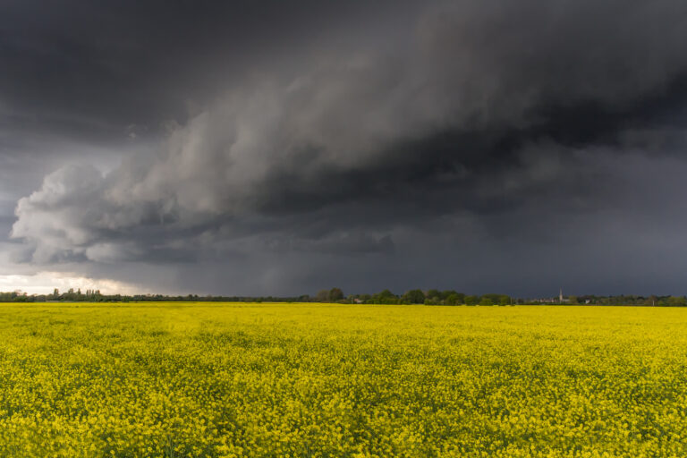 Storm clouds gathering at Sky at losses exceed £750m