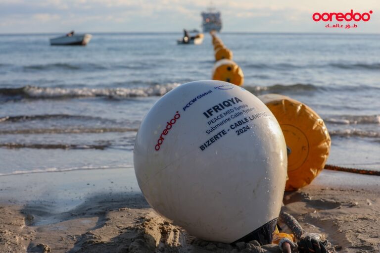 Tunisia wants six to seven submarine cables 