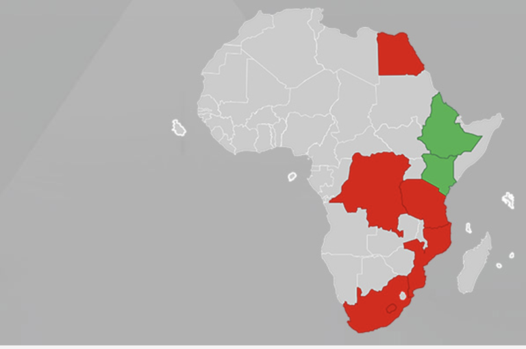 Orange, Vodacom said to be exploring African infra agreement
