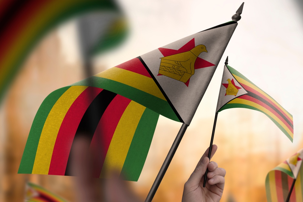 High Court says Econet ‘blocking traffic’ must be dealt with urgently